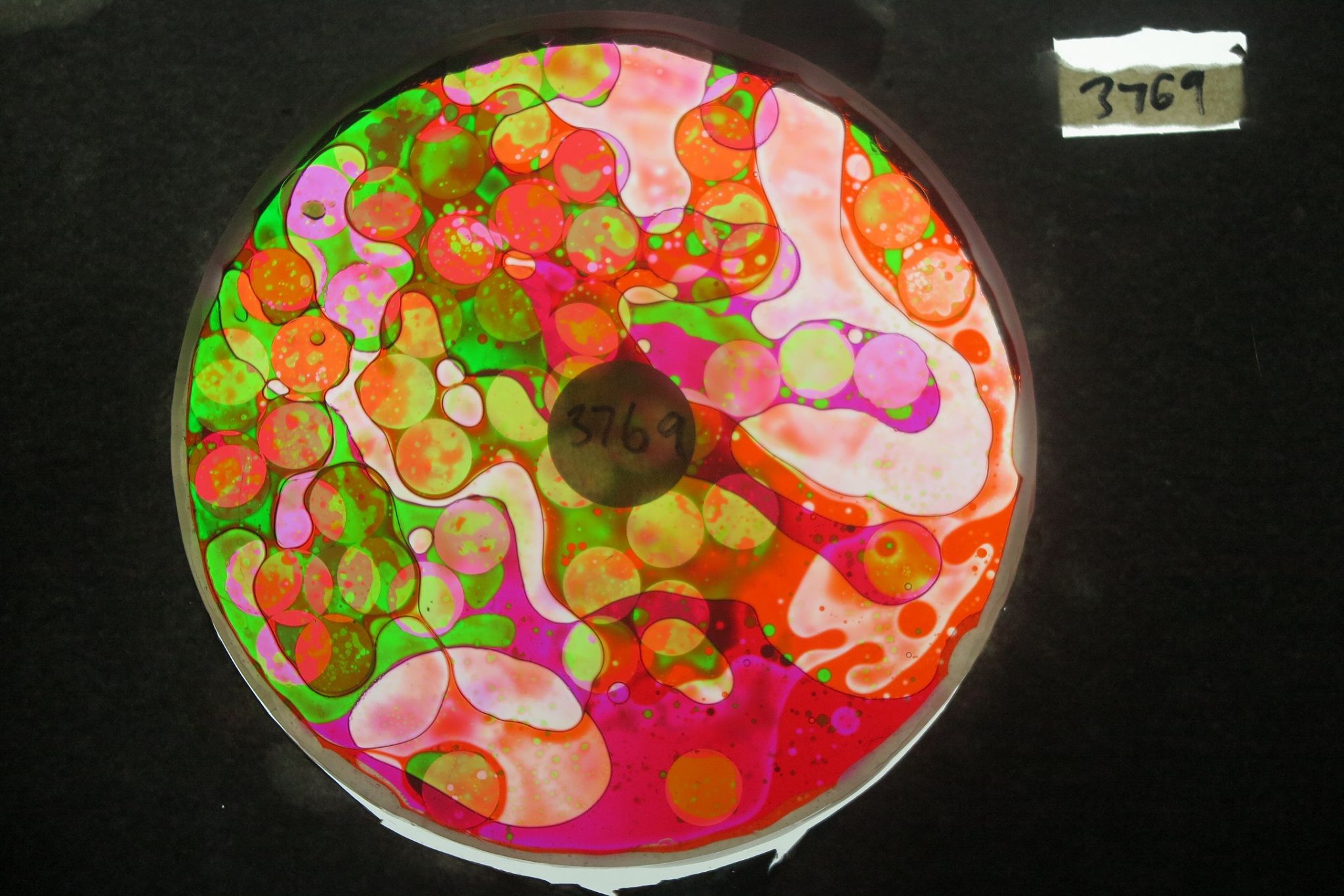 BV3769 bubble vision oil wheel